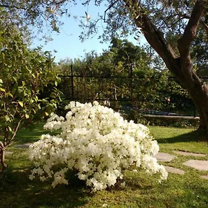La Vie Est Belle Bed and breakfast